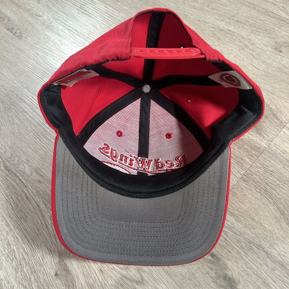 Vintage Detroit Red Wings Hat Snapback NHL Hockey Red Twins Enterprise Cap - Picture 3 of 9